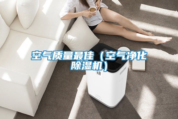 空氣質(zhì)量最佳(空氣凈化除濕機)