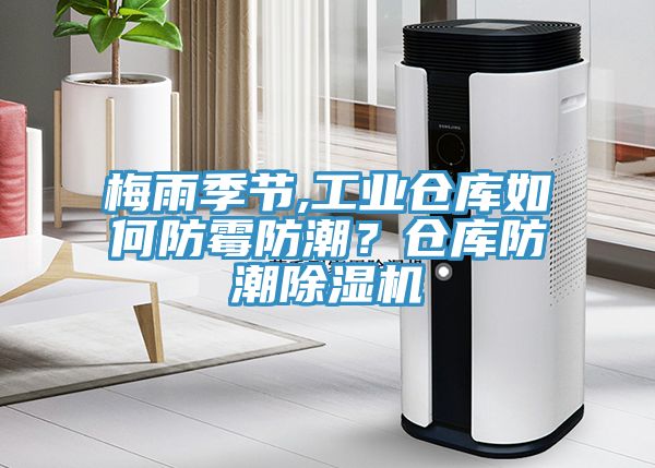 梅雨季節,工業倉庫如何防霉防潮?倉庫防潮除濕機