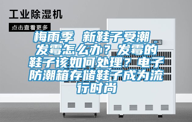 梅雨季 新鞋子受潮 發霉怎么辦？發霉的鞋子該如何處理？電子防潮箱存儲鞋子成為流行時尚