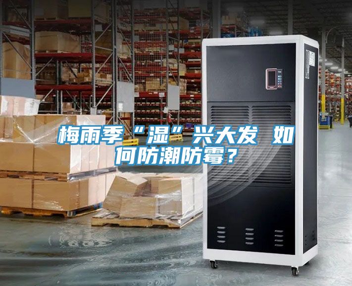 梅雨季“濕”興大發 如何防潮防霉?