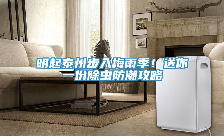明起泰州步入梅雨季!送你一份除蟲防潮攻略
