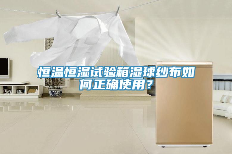 恒溫恒濕試驗箱濕球紗布如何正確使用?