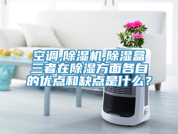 空調,除濕機,除濕盒三者在除濕方面各自的優點和缺點是什么?