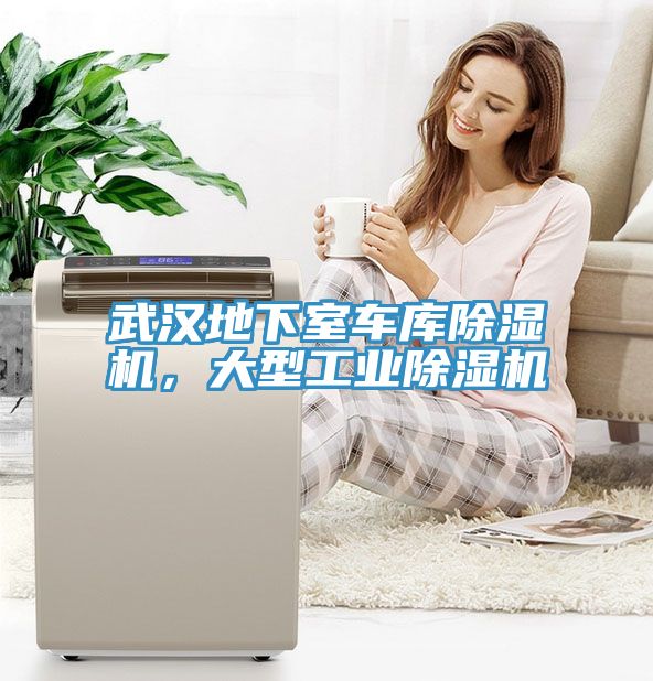 武漢地下室車庫除濕機,大型工業除濕機