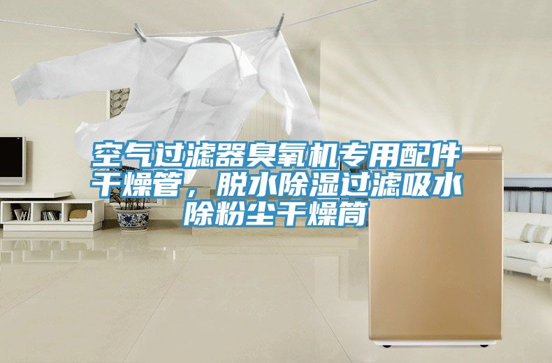空氣過濾器臭氧機專用配件干燥管,脫水除濕過濾吸水除粉塵干燥筒