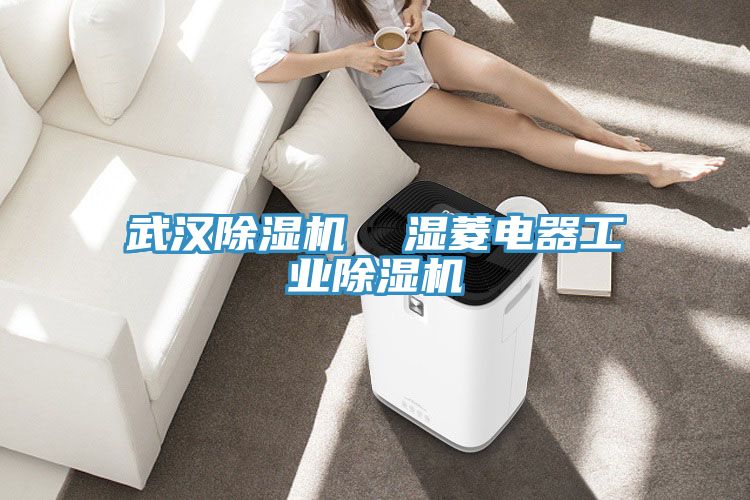 武漢除濕機(jī) 濕菱電器工業(yè)除濕機(jī)