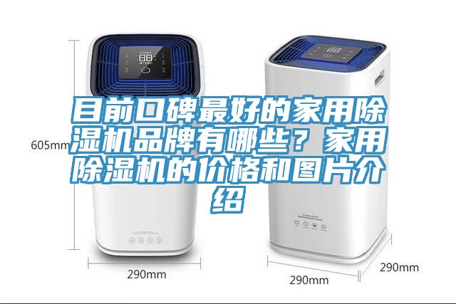 目前口碑最好的家用除濕機品牌有哪些？家用除濕機的價格和圖片介紹
