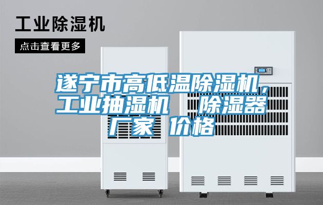 遂寧市高低溫除濕機，工業(yè)抽濕機  除濕器廠家 價格