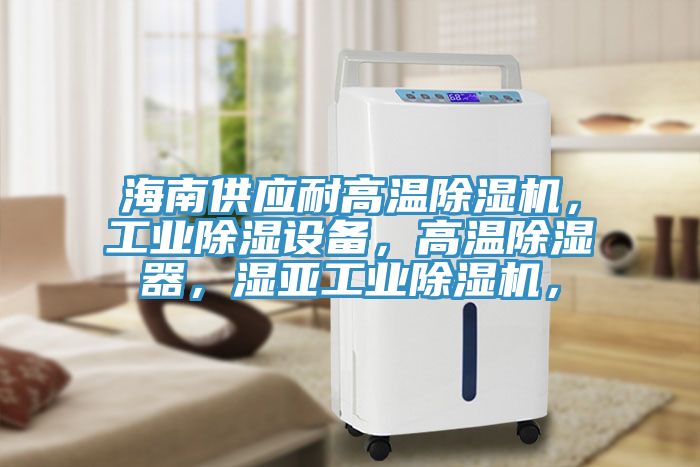 海南供應耐高溫除濕機，工業除濕設備，高溫除濕器，濕亞工業除濕機，