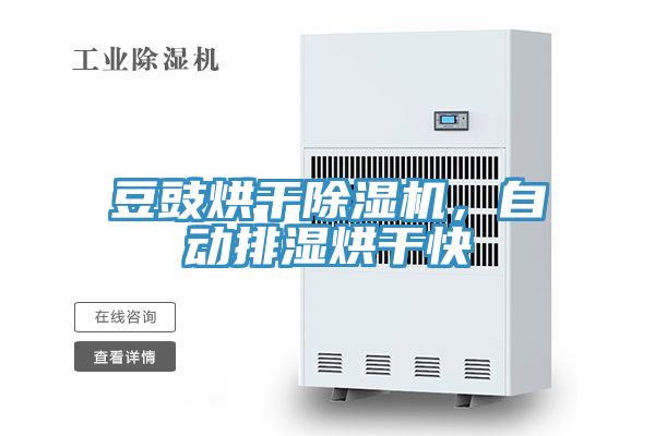 豆豉烘干除濕機，自動排濕烘干快