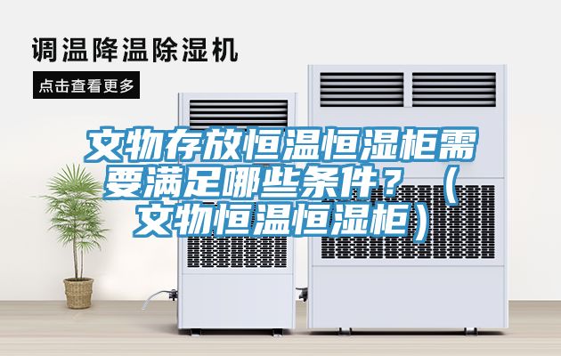 文物存放恒溫恒濕柜需要滿足哪些條件？（文物恒溫恒濕柜）