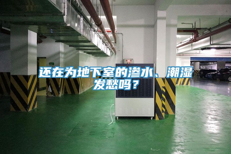 還在為地下室的滲水、潮濕發(fā)愁嗎?