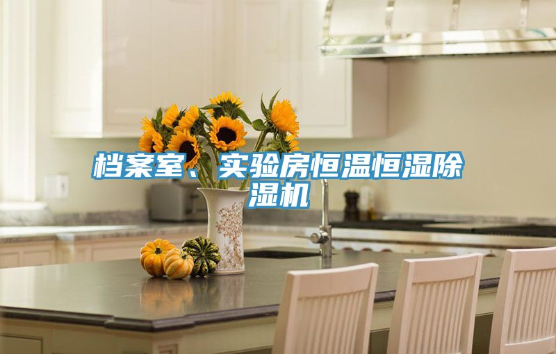 檔案室、實驗房恒溫恒濕除濕機