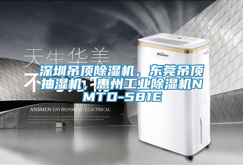 深圳吊頂除濕機,東莞吊頂抽濕機,惠州工業除濕機NMTD-581E