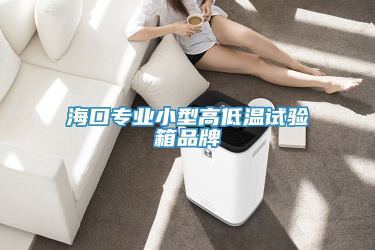 海口專業小型高低溫試驗箱品牌
