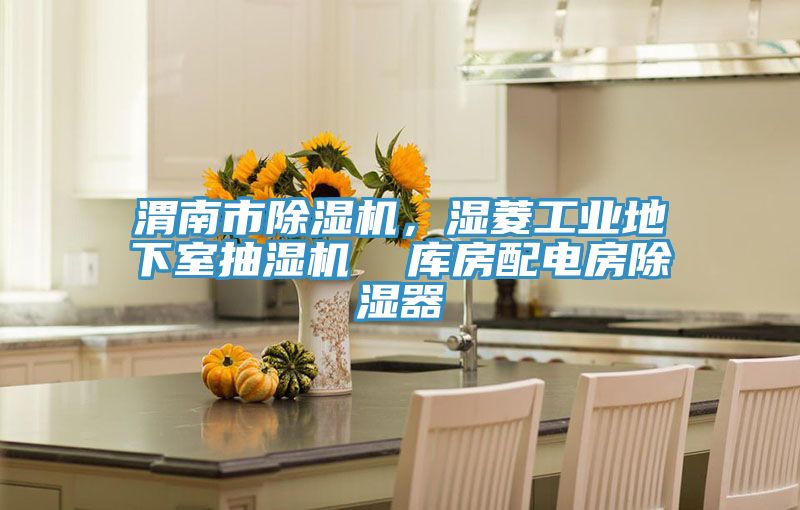 渭南市除濕機,濕菱工業地下室抽濕機 庫房配電房除濕器