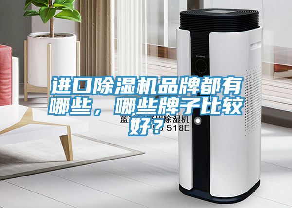 進(jìn)口除濕機(jī)品牌都有哪些,哪些牌子比較好?