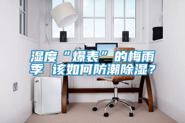 濕度“爆表”的梅雨季 該如何防潮除濕？