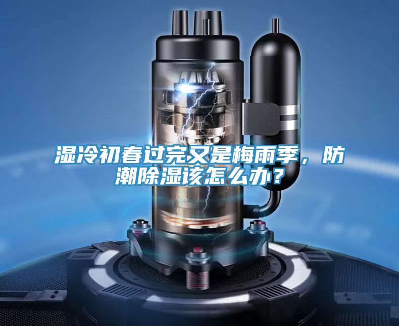 濕冷初春過完又是梅雨季，防潮除濕該怎么辦？
