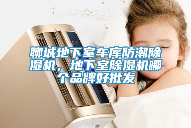 聊城地下室車庫防潮除濕機,地下室除濕機哪個品牌好批發