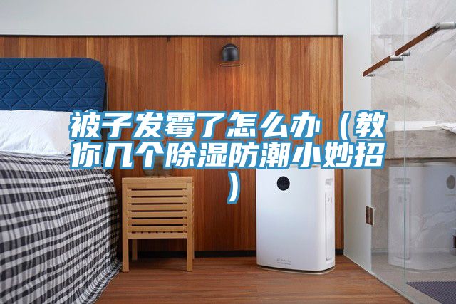 被子發(fā)霉了怎么辦(教你幾個除濕防潮小妙招)