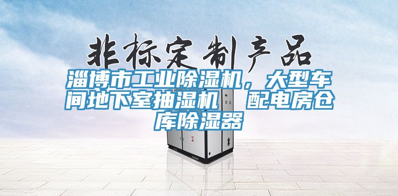 淄博市工業除濕機,大型車間地下室抽濕機 配電房倉庫除濕器