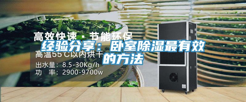 經(jīng)驗(yàn)分享:臥室除濕最有效的方法