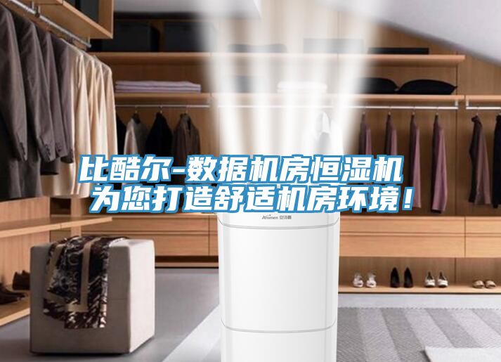 比酷爾-數(shù)據(jù)機房恒濕機 為您打造舒適機房環(huán)境！