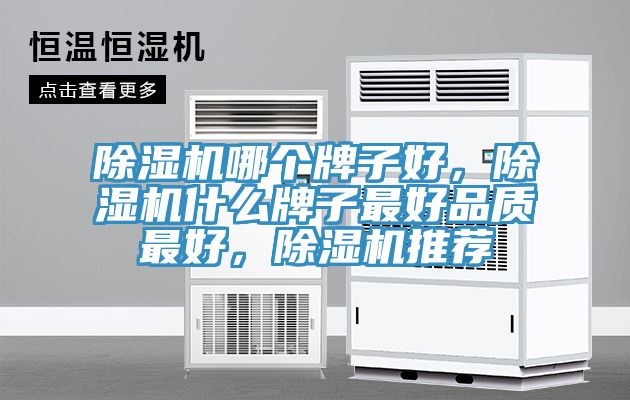 除濕機(jī)哪個牌子好，除濕機(jī)什么牌子最好品質(zhì)最好，除濕機(jī)推薦