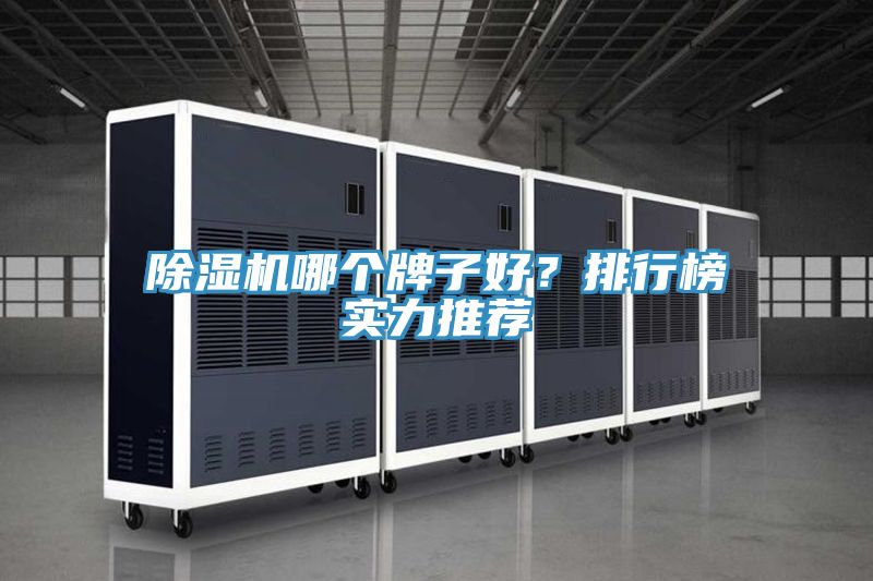 除濕機(jī)哪個牌子好？排行榜實(shí)力推薦