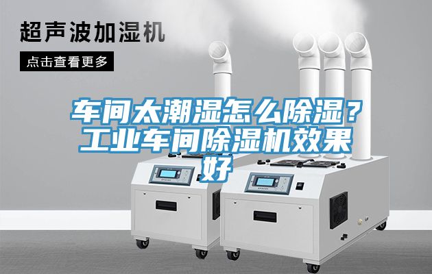 車間太潮濕怎么除濕?工業車間除濕機效果好