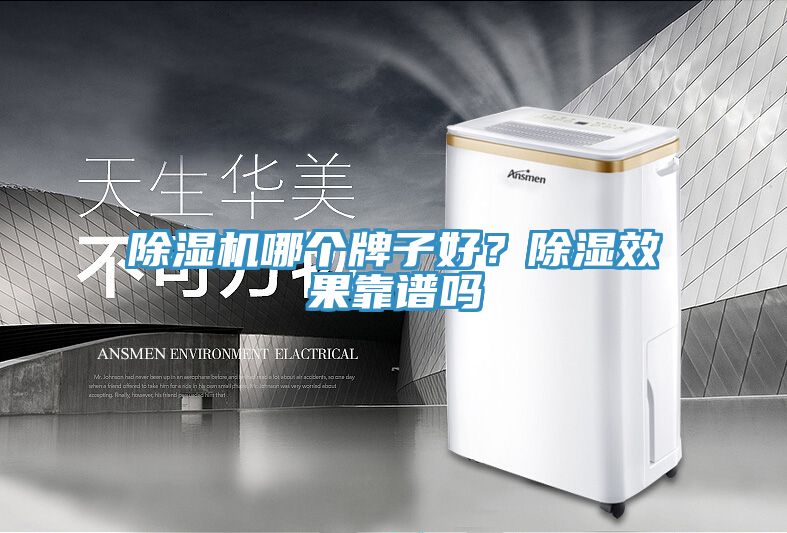 除濕機哪個牌子好？除濕效果靠譜嗎