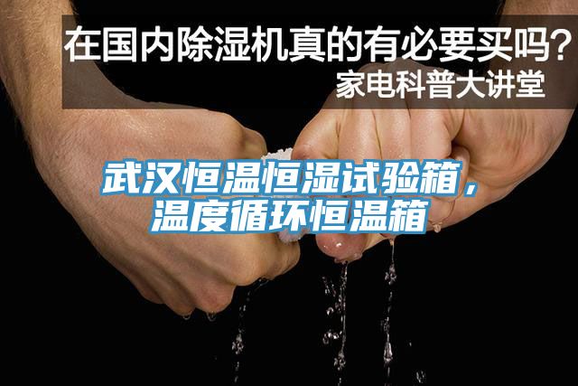 武漢恒溫恒濕試驗箱，溫度循環(huán)恒溫箱