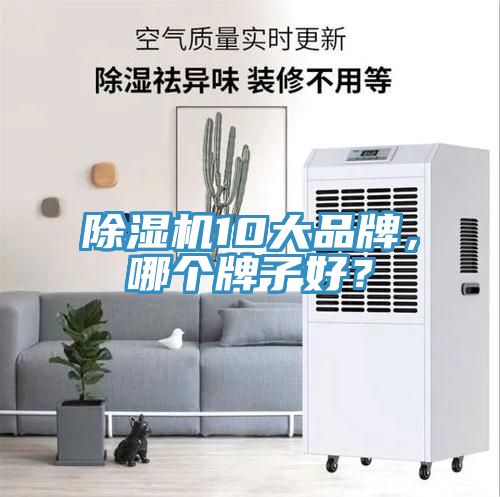 除濕機10大品牌,哪個牌子好?