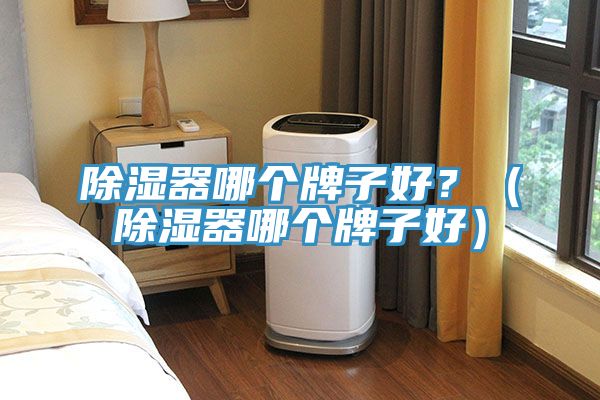 除濕器哪個牌子好？（除濕器哪個牌子好）
