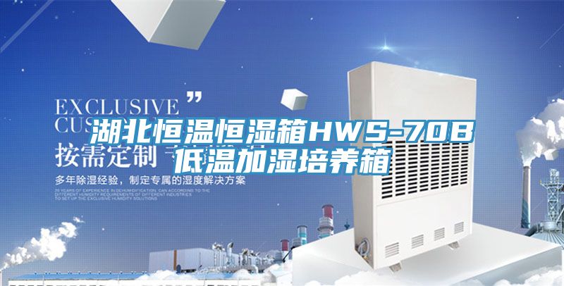 湖北恒溫恒濕箱HWS-70B低溫加濕培養箱