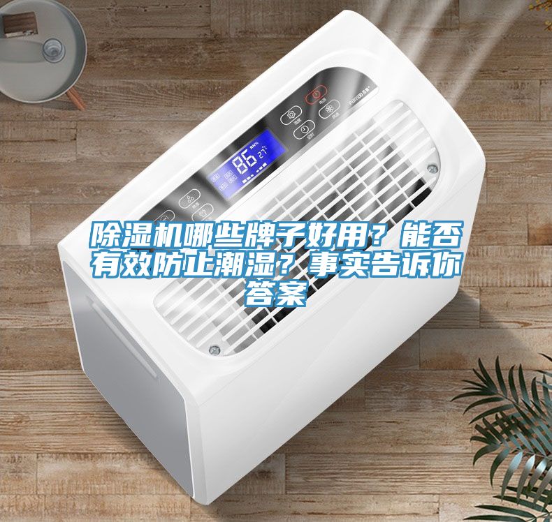 除濕機哪些牌子好用？能否有效防止潮濕？事實告訴你答案