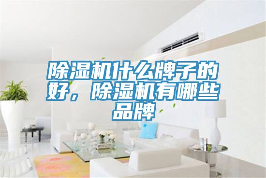 除濕機(jī)什么牌子的好，除濕機(jī)有哪些品牌
