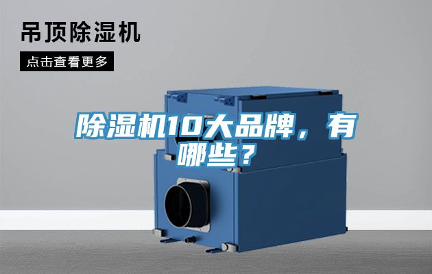 除濕機(jī)10大品牌，有哪些？