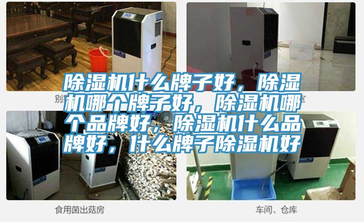 除濕機(jī)什么牌子好，除濕機(jī)哪個(gè)牌子好，除濕機(jī)哪個(gè)品牌好，除濕機(jī)什么品牌好，什么牌子除濕機(jī)好