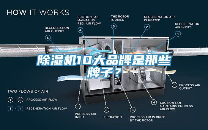 除濕機10大品牌是那些牌子?