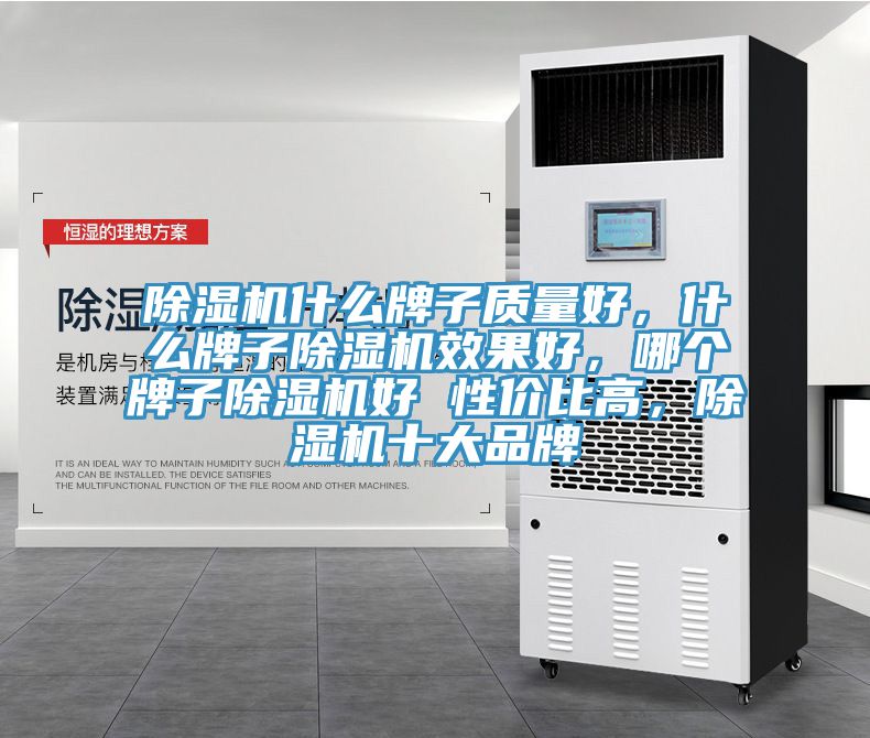 除濕機(jī)什么牌子質(zhì)量好，什么牌子除濕機(jī)效果好，哪個(gè)牌子除濕機(jī)好 性價(jià)比高，除濕機(jī)十大品牌