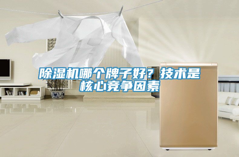 除濕機(jī)哪個牌子好？技術(shù)是核心競爭因素