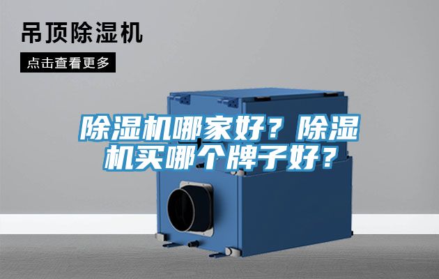 除濕機(jī)哪家好？除濕機(jī)買(mǎi)哪個(gè)牌子好？
