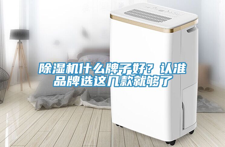 除濕機(jī)什么牌子好？認(rèn)準(zhǔn)品牌選這幾款就夠了
