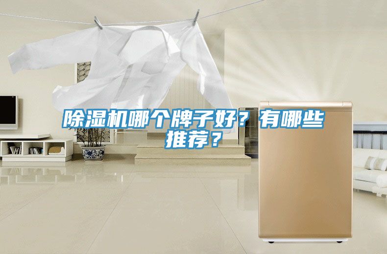 除濕機(jī)哪個牌子好？有哪些推薦？