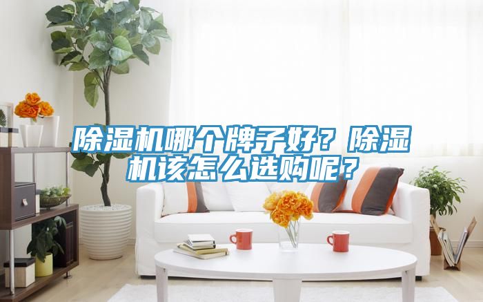 除濕機哪個牌子好？除濕機該怎么選購呢？