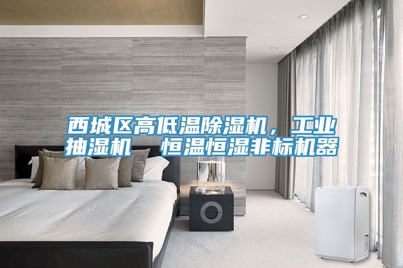 西城區(qū)高低溫除濕機，工業(yè)抽濕機  恒溫恒濕非標(biāo)機器