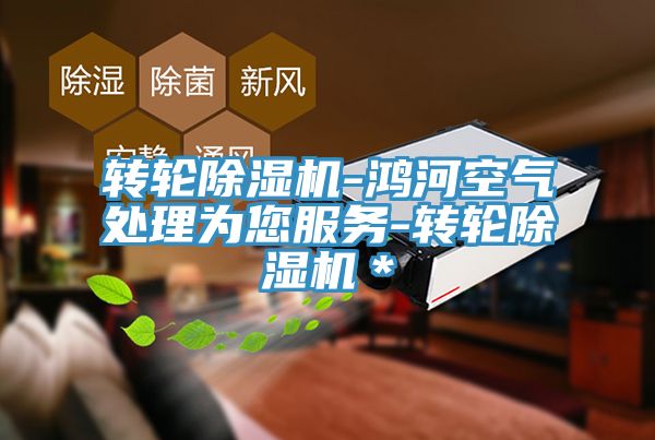 轉(zhuǎn)輪除濕機-鴻河空氣處理為您服務(wù)-轉(zhuǎn)輪除濕機*