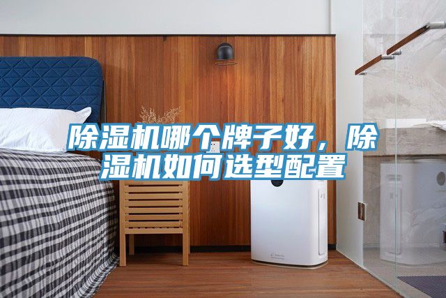 除濕機(jī)哪個牌子好，除濕機(jī)如何選型配置